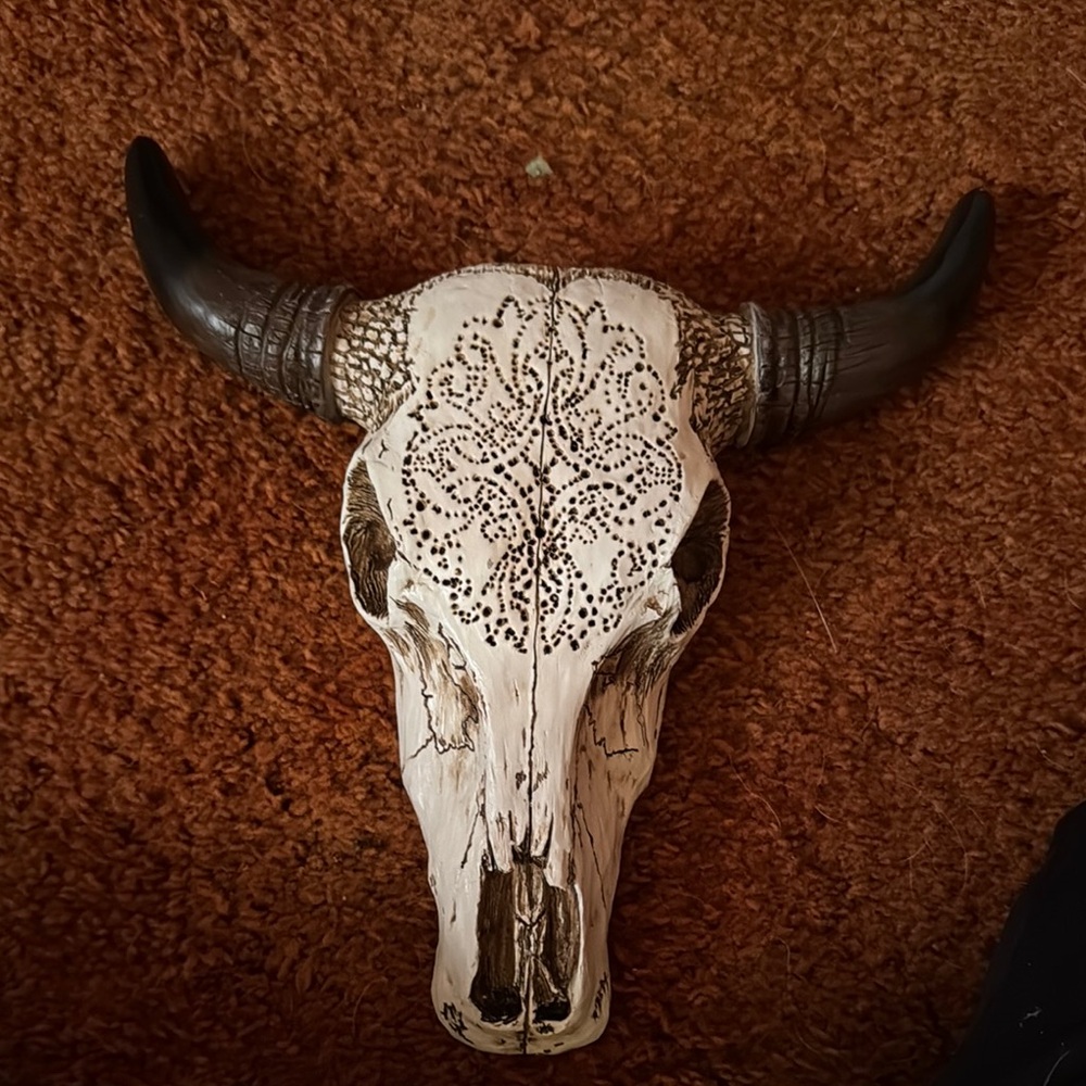 Decorative Bull Skull Wall Art